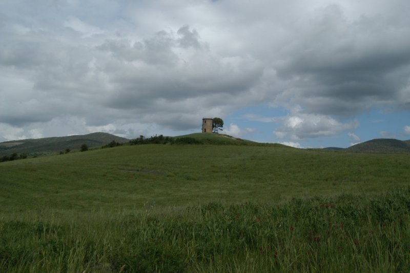 BIBBONA CAMPAGNA